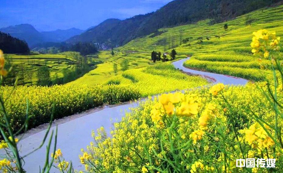 中国最早的春天 云南罗平30万亩的油菜花